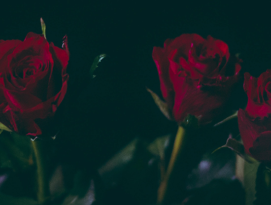 Si on s'écrivait des lettres d'amour ?