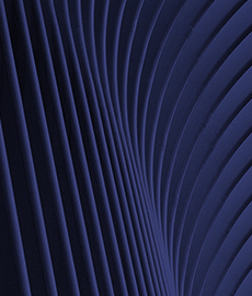 Sexe et ascenseurs : attentes vs réalité