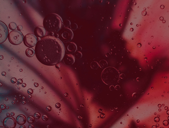 Pourquoi l'amour et la cuisine font-ils si bon ménage ? 