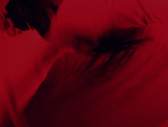 L’amour, dans tous les sens 