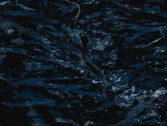 Idées de dates insolites à tester cet hiver